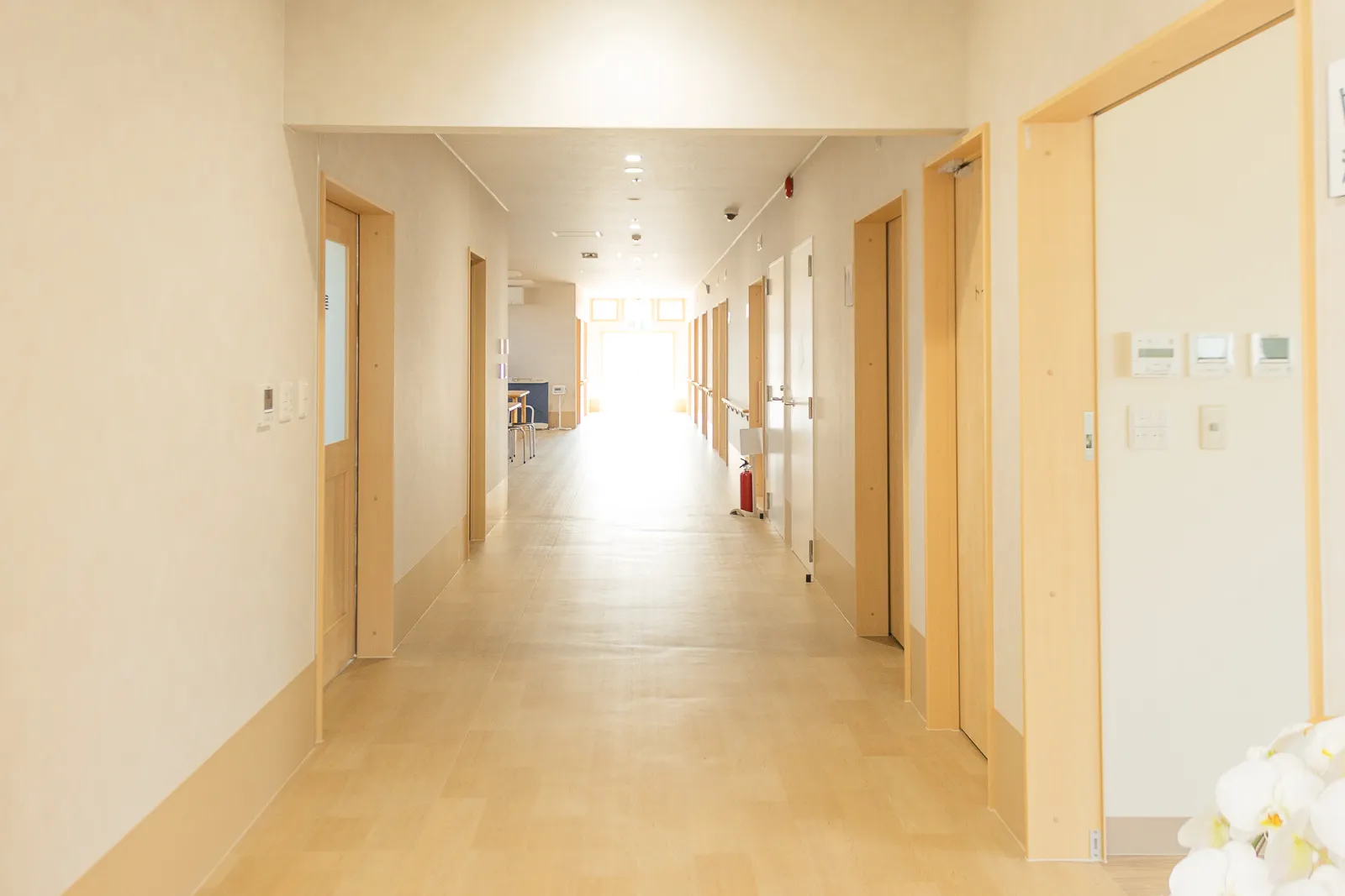 1F廊下